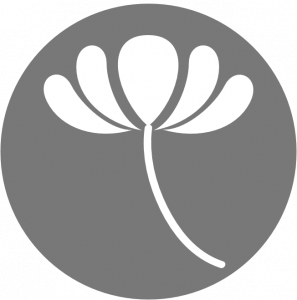 dandelion04